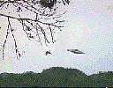 Ufo-f14.bmp