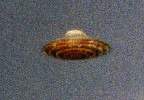 Ufo4.bmp